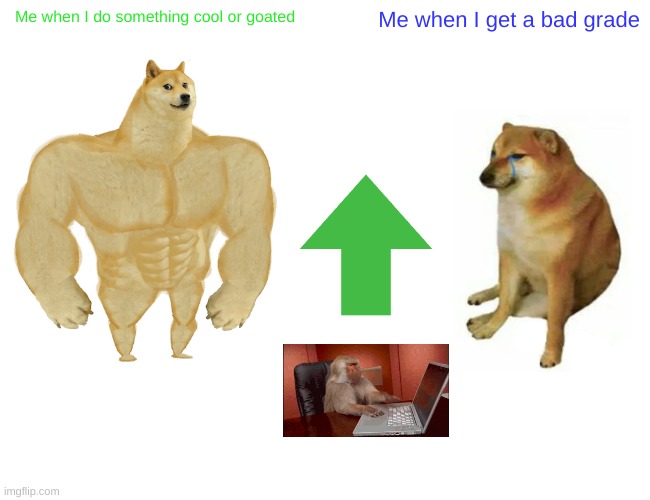 The pros and cons of life | Me when I do something cool or goated; Me when I get a bad grade | image tagged in memes,buff doge vs cheems | made w/ Imgflip meme maker