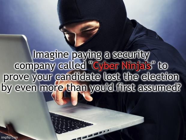 Imagine paying to find out you lost even more? | Imagine paying a security company called "Cyber Ninja's" to prove your candidate lost the election by even more than you'd first assumed? Cyber Ninja's | image tagged in ninja,election,recount,trump lost,biden won | made w/ Imgflip meme maker