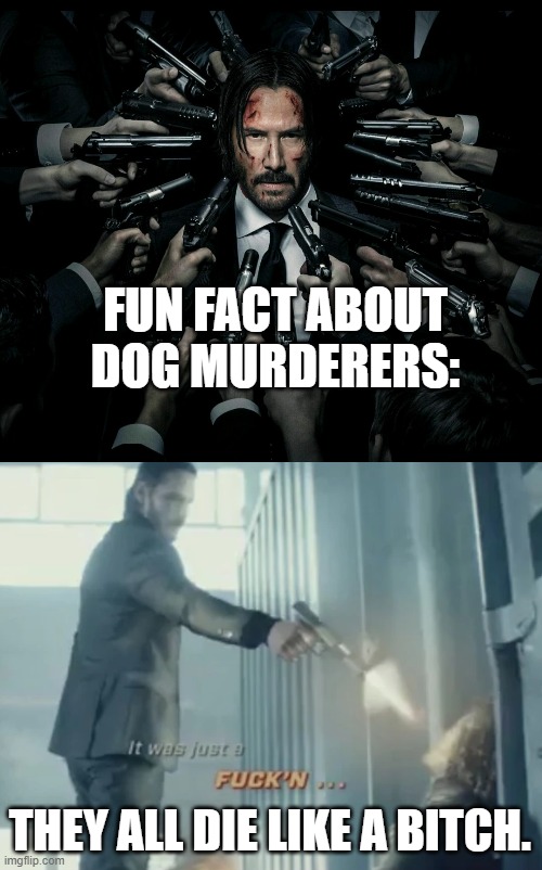 Karma. | FUN FACT ABOUT DOG MURDERERS:; THEY ALL DIE LIKE A BITCH. | image tagged in john wick 2,bitch,memes,funny,john wick | made w/ Imgflip meme maker