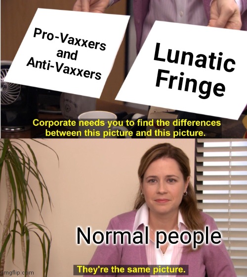 They're The Same Picture Meme | Pro-Vaxxers and Anti-Vaxxers Lunatic
Fringe Normal people | image tagged in memes,they're the same picture | made w/ Imgflip meme maker