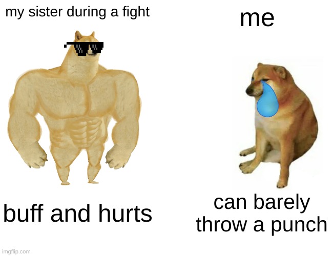 so true | my sister during a fight; me; buff and hurts; can barely throw a punch | image tagged in memes,buff doge vs cheems | made w/ Imgflip meme maker