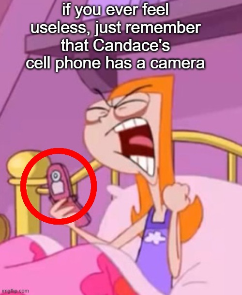 The camera: ._. | if you ever feel useless, just remember that Candace's cell phone has a camera | image tagged in phineas and ferb,useless,funny,meme,memes | made w/ Imgflip meme maker