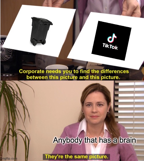 They're The Same Picture | Anybody that has a brain | image tagged in memes,they're the same picture | made w/ Imgflip meme maker