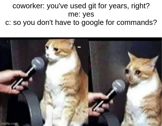 Crying Cat Interview Horizontal | coworker: you've used git for years, right?
me: yes
c: so you don't have to google for commands? | image tagged in crying cat interview horizontal,ProgrammerHumor | made w/ Imgflip meme maker