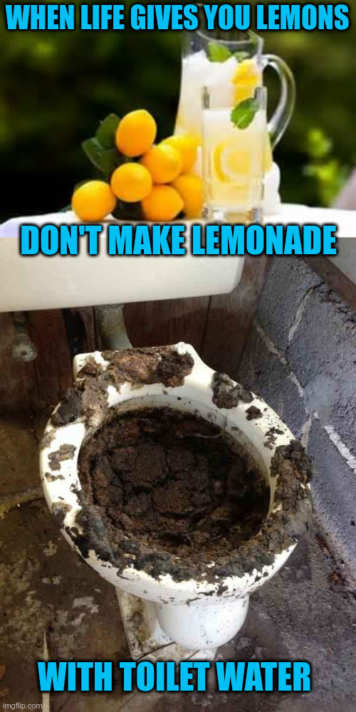 What I want to say to someone who refuses to acknowledge how bad things are | WHEN LIFE GIVES YOU LEMONS; DON'T MAKE LEMONADE; WITH TOILET WATER | image tagged in lemonade,toilet | made w/ Imgflip meme maker
