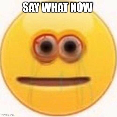 Cursed Emoji | SAY WHAT NOW | image tagged in cursed emoji | made w/ Imgflip meme maker