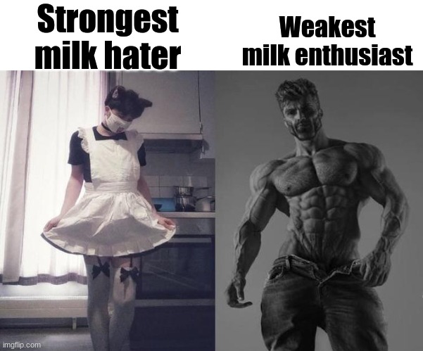 Strongest Fan VS Weakest Fan | Strongest milk hater; Weakest milk enthusiast | image tagged in strongest fan vs weakest fan | made w/ Imgflip meme maker
