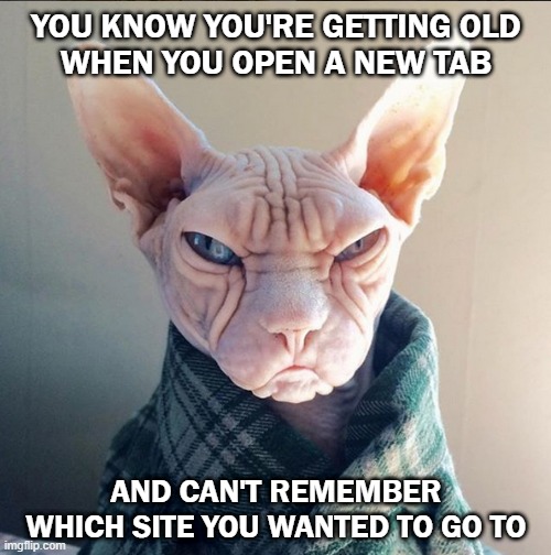 Getting Old | YOU KNOW YOU'RE GETTING OLD
 WHEN YOU OPEN A NEW TAB; AND CAN'T REMEMBER WHICH SITE YOU WANTED TO GO TO | image tagged in old man cat | made w/ Imgflip meme maker