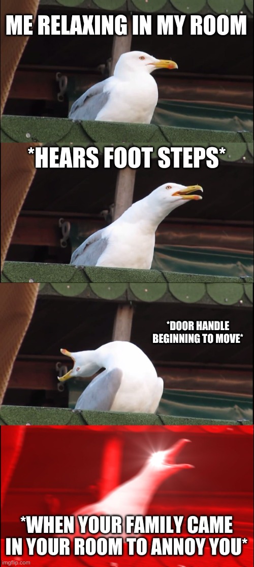 Inhaling Seagull | ME RELAXING IN MY ROOM; *HEARS FOOT STEPS*; *DOOR HANDLE BEGINNING TO MOVE*; *WHEN YOUR FAMILY CAME IN YOUR ROOM TO ANNOY YOU* | image tagged in memes,inhaling seagull | made w/ Imgflip meme maker