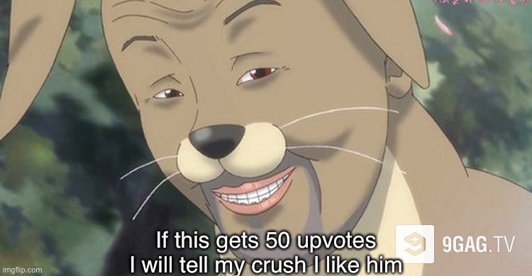 Weird anime hentai furry | If this gets 50 upvotes I will tell my crush I like him | image tagged in weird anime hentai furry | made w/ Imgflip meme maker