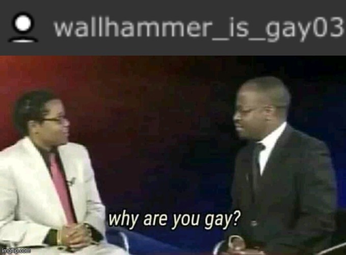 image tagged in why are you gay | made w/ Imgflip meme maker