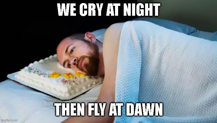 lean is 2 easy  to make | WE CRY AT NIGHT; THEN FLY AT DAWN | image tagged in ha,richard | made w/ Imgflip meme maker