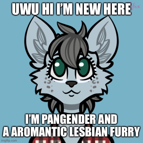 *snuggles reader* uwu | UWU HI I’M NEW HERE; I’M PANGENDER AND A AROMANTIC LESBIAN FURRY | image tagged in pangenderfloof | made w/ Imgflip meme maker