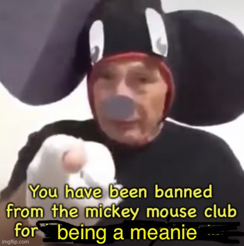 Banned From The Mickey Mouse Club | being a meanie | image tagged in banned from the mickey mouse club | made w/ Imgflip meme maker