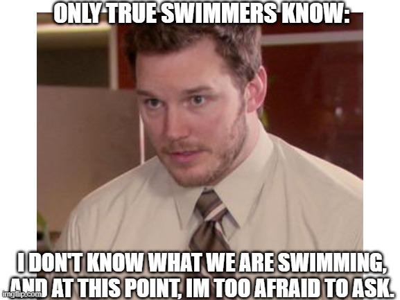 Only True Swimmers Know 3... |  ONLY TRUE SWIMMERS KNOW:; I DON'T KNOW WHAT WE ARE SWIMMING, AND AT THIS POINT, IM TOO AFRAID TO ASK. | image tagged in memes,and i'm too afraid to ask andy,swimming,true swimmer,swim | made w/ Imgflip meme maker