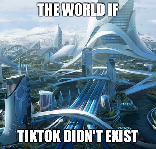 The world if | THE WORLD IF; TIKTOK DIDN'T EXIST | image tagged in the world if | made w/ Imgflip meme maker
