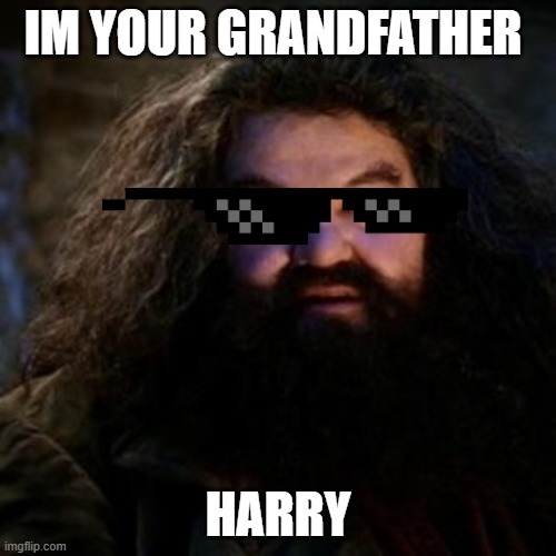 You're a wizard harry | IM YOUR GRANDFATHER; HARRY | image tagged in you're a wizard harry | made w/ Imgflip meme maker