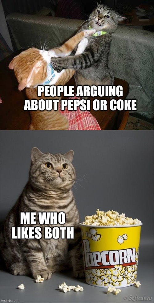 Cat watching other cats fight | PEOPLE ARGUING ABOUT PEPSI OR COKE; ME WHO LIKES BOTH | image tagged in cat watching other cats fight | made w/ Imgflip meme maker
