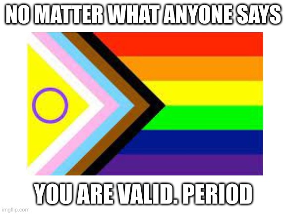 Everyone is valid. Don't every doubt it | NO MATTER WHAT ANYONE SAYS; YOU ARE VALID. PERIOD | image tagged in lgbtq | made w/ Imgflip meme maker