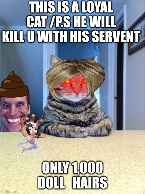 Take A Seat Cat | THIS IS A LOYAL CAT /P.S HE WILL KILL U WITH HIS SERVENT; ONLY 1,000 DOLL   HAIRS | image tagged in memes,take a seat cat | made w/ Imgflip meme maker
