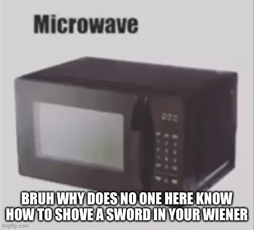 Microwave | BRUH WHY DOES NO ONE HERE KNOW HOW TO SHOVE A SWORD IN YOUR WIENER | image tagged in microwave | made w/ Imgflip meme maker