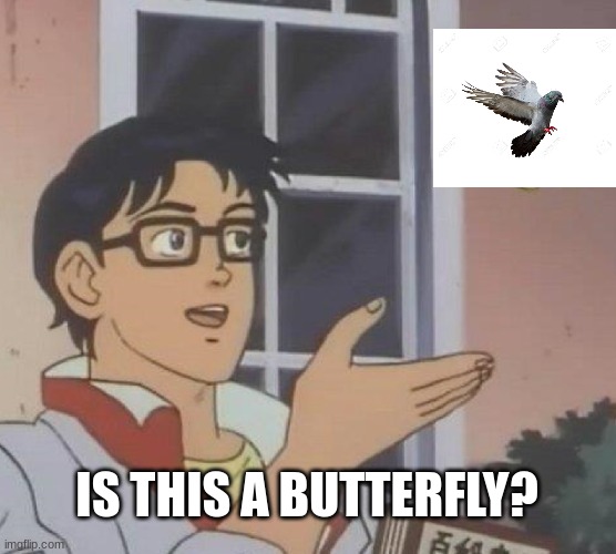 Is This A Pigeon Meme | IS THIS A BUTTERFLY? | image tagged in memes,is this a pigeon | made w/ Imgflip meme maker