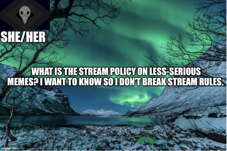 Northern Lights Termcollector Template | WHAT IS THE STREAM POLICY ON LESS-SERIOUS MEMES? I WANT TO KNOW SO I DON’T BREAK STREAM RULES. | image tagged in northern lights termcollector template | made w/ Imgflip meme maker