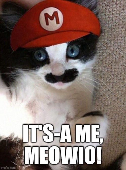 which way to the water world? | IT'S-A ME,
MEOWIO! | image tagged in mario,cats,funny memes,memes | made w/ Imgflip meme maker