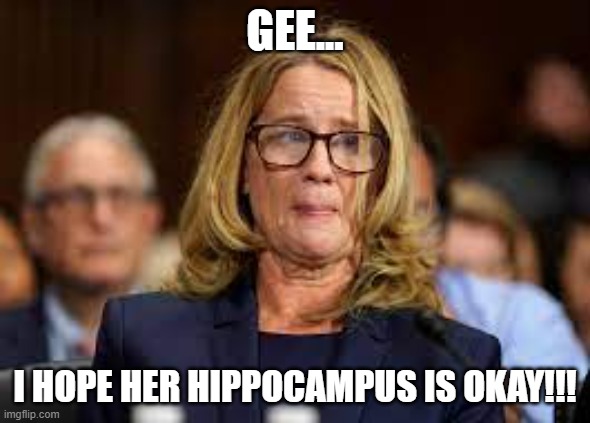 CBF | GEE... I HOPE HER HIPPOCAMPUS IS OKAY!!! | image tagged in cbf | made w/ Imgflip meme maker
