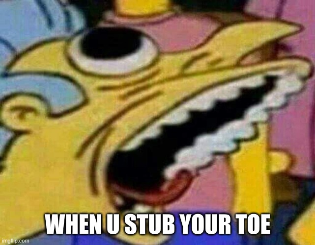 When u stub ur toe | WHEN U STUB YOUR TOE | image tagged in when u stub ur toe | made w/ Imgflip meme maker