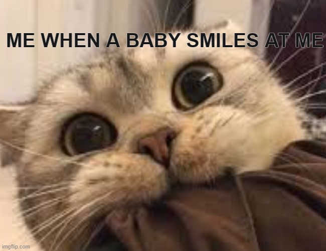 me | ME WHEN A BABY SMILES AT ME | image tagged in baby,cat,smile | made w/ Imgflip meme maker