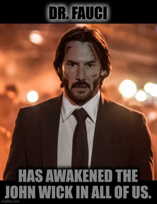 don't mess with the dog | DR. FAUCI; HAS AWAKENED THE JOHN WICK IN ALL OF US. | image tagged in dr fauci,john wick,coronavirus | made w/ Imgflip meme maker