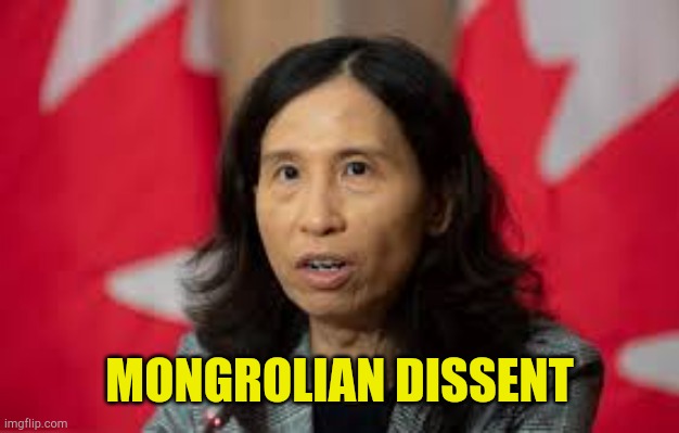 Just Another Pretty Face | MONGROLIAN DISSENT | image tagged in don't say it,im pretty sure it doesnt,yikes,canadian politics,meanwhile in canada,oh canada | made w/ Imgflip meme maker