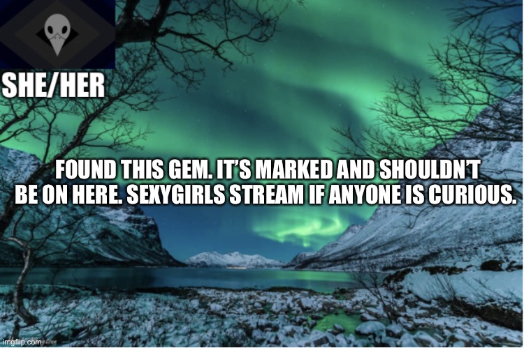 Northern Lights Termcollector Template | FOUND THIS GEM. IT’S MARKED AND SHOULDN’T BE ON HERE. SEXYGIRLS STREAM IF ANYONE IS CURIOUS. | image tagged in northern lights termcollector template | made w/ Imgflip meme maker