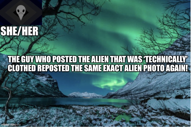 Northern Lights Termcollector Template | THE GUY WHO POSTED THE ALIEN THAT WAS ‘TECHNICALLY’ CLOTHED REPOSTED THE SAME EXACT ALIEN PHOTO AGAIN! | image tagged in northern lights termcollector template | made w/ Imgflip meme maker