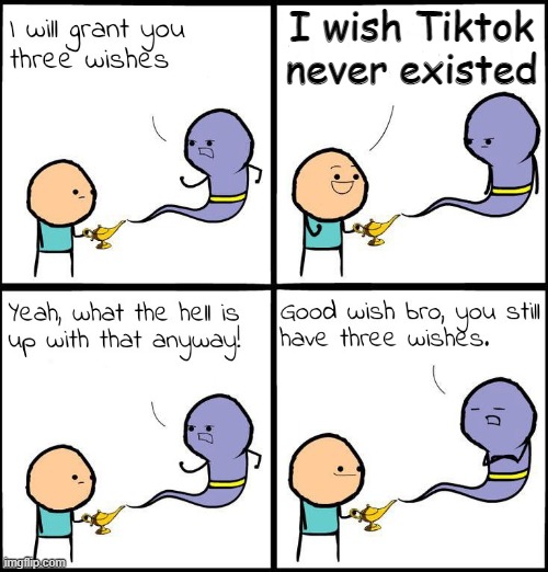 NO MORE TIKTOK | I wish Tiktok never existed | image tagged in 3 wishes,funny memes,stupid people | made w/ Imgflip meme maker
