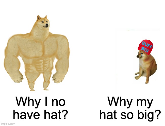 Brudder stuff | BUFF
BOI; Why my hat so big? Why I no have hat? | image tagged in memes,buff doge vs cheems,hat,cheems | made w/ Imgflip meme maker