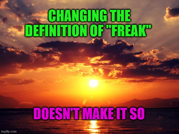 Sunset | CHANGING THE DEFINITION OF "FREAK"; DOESN'T MAKE IT SO | image tagged in sunset | made w/ Imgflip meme maker