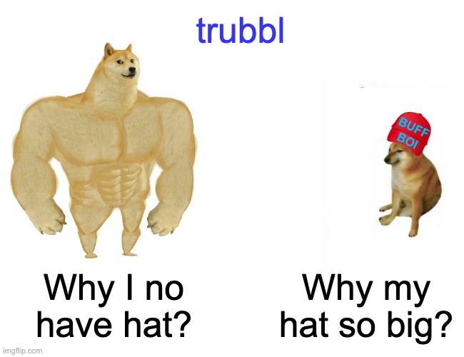 hat. | trubbl; BUFF
BOI; Why my hat so big? Why I no have hat? | image tagged in memes,buff doge vs cheems,cheems,brothers,but thats none of my business | made w/ Imgflip meme maker
