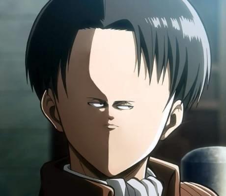 High Quality Small Levi Face Blank Meme Template