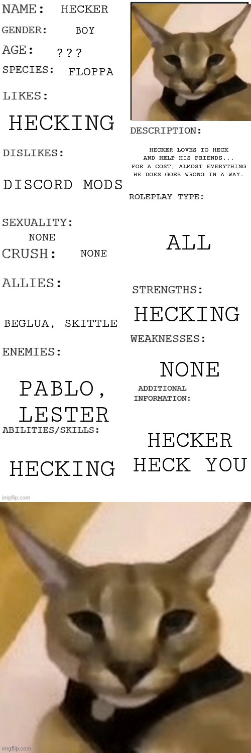 POV: Your on discord and you see hecker, wdyd? | HECKER; BOY; ??? FLOPPA; HECKING; HECKER LOVES TO HECK AND HELP HIS FRIENDS... FOR A COST, ALMOST EVERYTHING HE DOES GOES WRONG IN A WAY. DISCORD MODS; ALL; NONE; NONE; HECKING; BEGLUA, SKITTLE; NONE; PABLO, LESTER; HECKER HECK YOU; HECKING | made w/ Imgflip meme maker