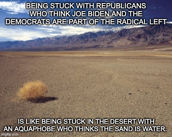 Joe Biden is not a communist, but he should be. | BEING STUCK WITH REPUBLICANS WHO THINK JOE BIDEN AND THE DEMOCRATS ARE PART OF THE RADICAL LEFT; IS LIKE BEING STUCK IN THE DESERT WITH AN AQUAPHOBE WHO THINKS THE SAND IS WATER. | image tagged in desert tumbleweed,joe biden,communism,antifa | made w/ Imgflip meme maker