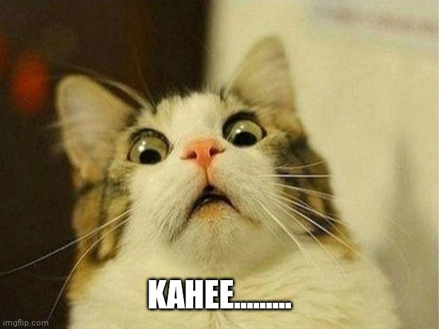 Scared Cat | KAHEE......... | image tagged in memes,scared cat | made w/ Imgflip meme maker