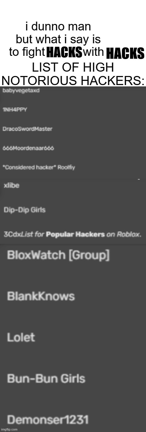 roblox hackers | i dunno man but what i say is to fight hacks with; HACKS; HACKS; LIST OF HIGH NOTORIOUS HACKERS: | image tagged in hackers,roblox hackers,bruh moment,roblox,warning | made w/ Imgflip meme maker