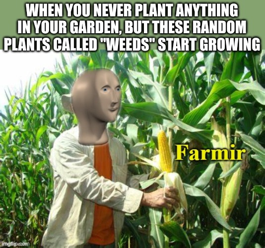 Stonks Farmir | WHEN YOU NEVER PLANT ANYTHING IN YOUR GARDEN, BUT THESE RANDOM PLANTS CALLED "WEEDS" START GROWING | image tagged in stonks farmir | made w/ Imgflip meme maker