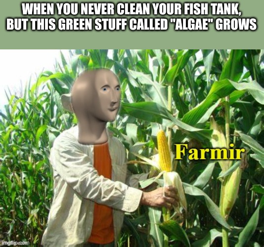 Stonks Farmir | WHEN YOU NEVER CLEAN YOUR FISH TANK, BUT THIS GREEN STUFF CALLED "ALGAE" GROWS | image tagged in stonks farmir | made w/ Imgflip meme maker