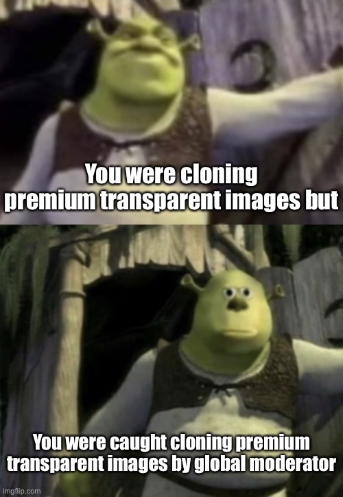 Shocked Shrek Face Swap | You were cloning premium transparent images but You were caught cloning premium transparent images by global moderator | image tagged in shocked shrek face swap | made w/ Imgflip meme maker