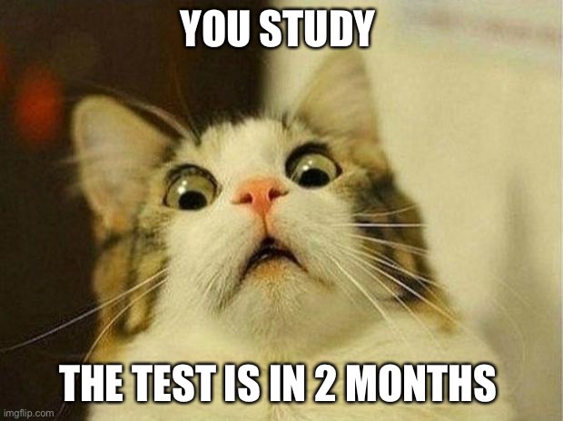 Scared Cat Meme |  YOU STUDY; THE TEST IS IN 2 MONTHS | image tagged in memes,scared cat | made w/ Imgflip meme maker