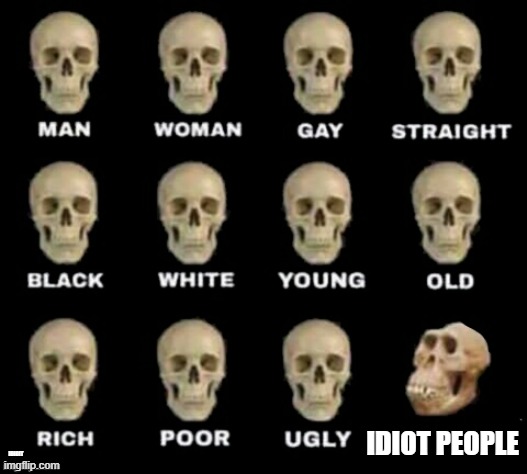 hjasguadufafe | IDIOT PEOPLE; IDIOIT | image tagged in idiot skull | made w/ Imgflip meme maker