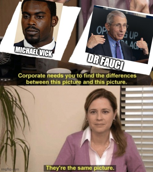 Corporate needs you to find the differences | MICHAEL VICK; DR FAUCI | image tagged in corporate needs you to find the differences | made w/ Imgflip meme maker